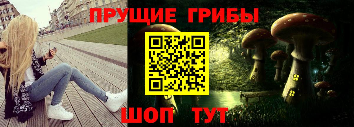 Галлюциногенные грибы Cubensis  Вход с VPN  Галлюциногенные грибы Cubensis  Зеленокумск 